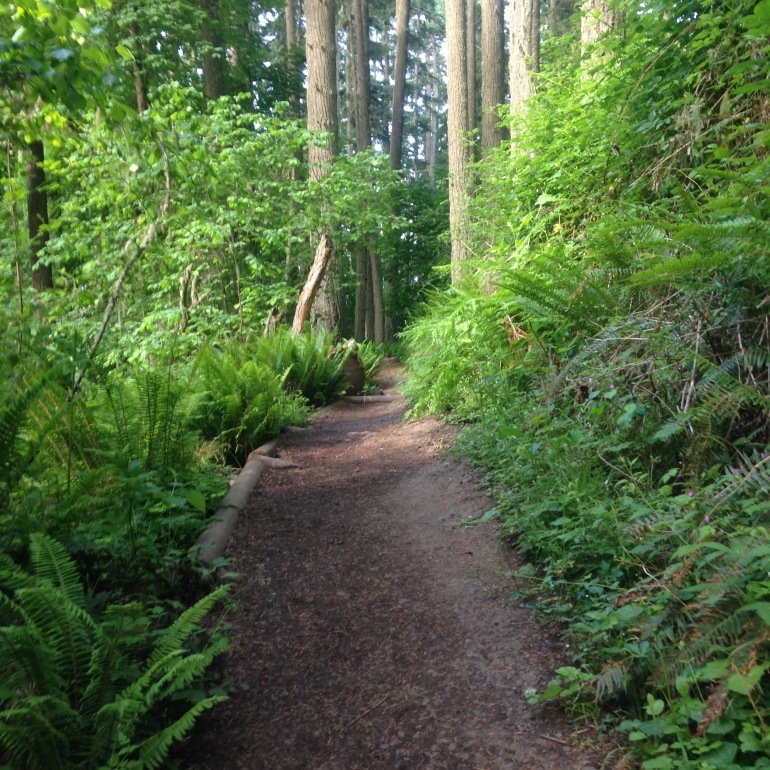 trail running in oregon fab fit chicago